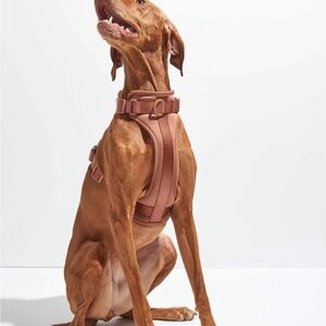 Wild One Dog Harness (Size L)